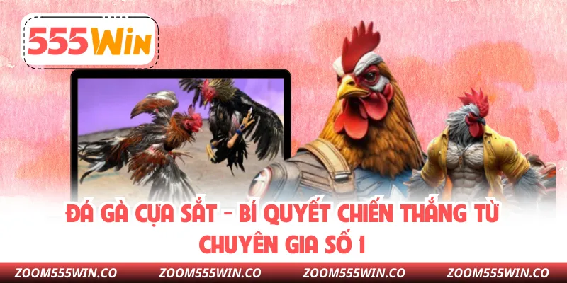 Đá Gà Cựa Sắt - Bí Quyết Chiến Thắng Từ Chuyên Gia Số 1