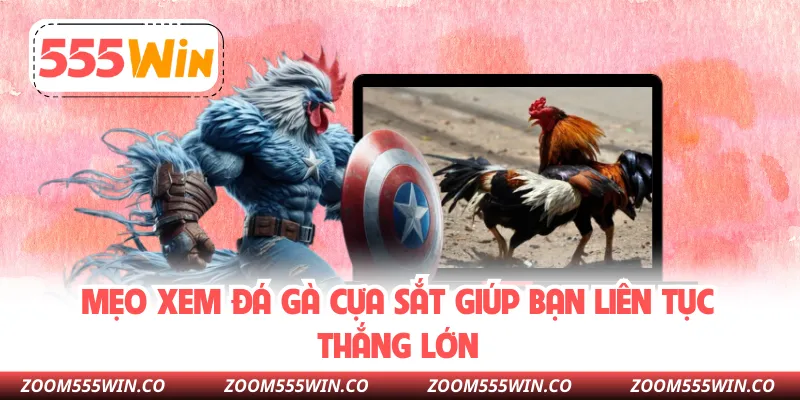 Mẹo Xem Đá Gà Cựa Sắt Giúp Bạn Liên Tục Thắng Lớn